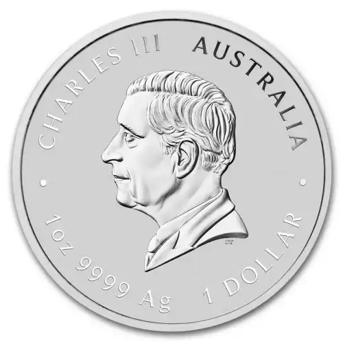 2025 1oz Australian Perth Mint Silver Lunar III: Year of the Snake (2)